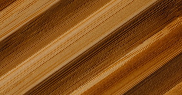 Tout savoir sur mister menuiserie : services et avantages